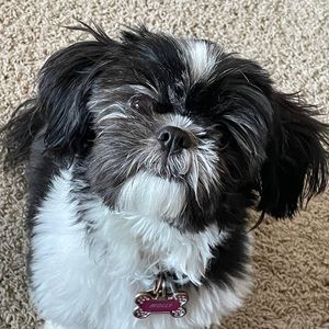 Meet your Posher, Celia